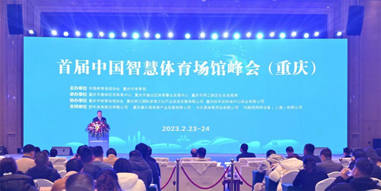 喜报 | 首届中国91桃色网站在线观看体育场馆峰会圆满成功，桃色网址网站体育获“重庆市体育产业示范单位”
